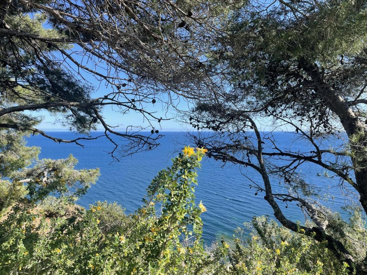 Appartement Mignon Calme Douillet Ascenseur Clim Etage Eleve Proche Parking Et Toutes Commodites Au Coeur Du Toulon Historique Buitenkant foto